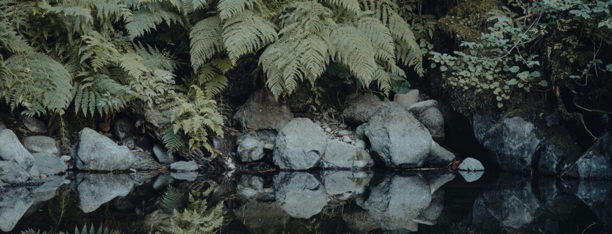 FI | House | yado | 泊まるように暮らす